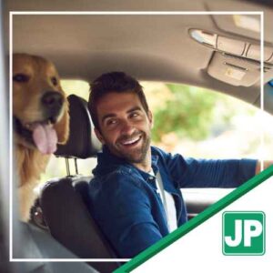 How Driving with Pets in the Car Is Contributing to Increased Accidents—And How to Secure Them